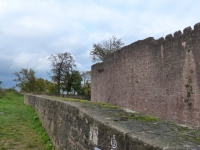 Burg Breuberg