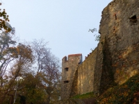 Burgruine Frankenstein