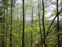 auf-dem-kraehberg-von-roland-blecha