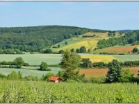 blick-von-den-gross-umstaedter-weinbergen-auf-felder-und-wiesen-von-anna-luise-viertel