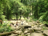 felsenmeer-von-nicole-kaffenberger