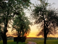 fruehlingsanfang-von-steven-herrschaft-01