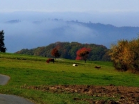 blick-von-raudelbach-nach-reichenbach-von-t-perle_