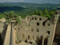 auerbacher-schloss-mit-auerbacher-kiefer-von-joachim-buechler