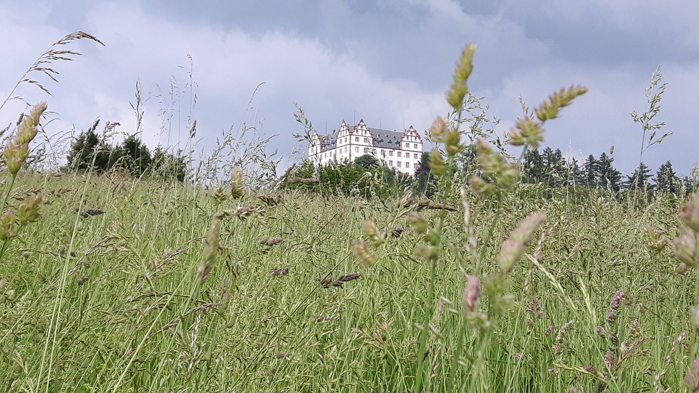 Schloss Lichtenberg von Lissy Pabst