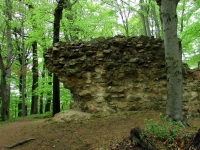 Mauerrest der Burg Jossa zwischen Alsbach und Jugenheim von Hans Günter König