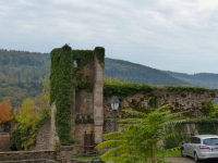 schloss-hirschhorn-07