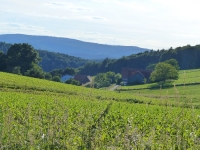 blick-odenwald-von-k-lang