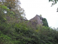 wildenburg-sanierung